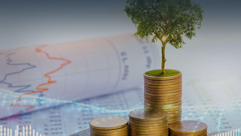 企业股权架构设计：定制方案背后的考量因素